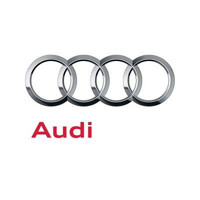 Audi Center Zürich Altstetten gewinnt Audi Twin Cup