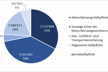 9 von 10 Schweizern bezahlen zu viel Autoversicherung