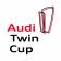 Audi Twin Cup: Garage Gautschi AG in Lyssach gewinnt Schweizer Meisterschaft